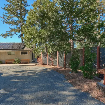 Sierra National Forest & Yosemite Estate + Orchard Retreat