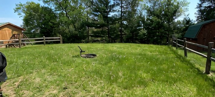 Cabin- no cleaning fees: Cranberry Fest, waterparks, trail riding for utv/atv Hotels in Monroe County