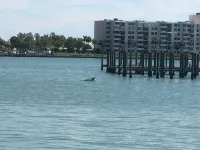 Cozy 1 bedroom on the water!Apt2 - Condos