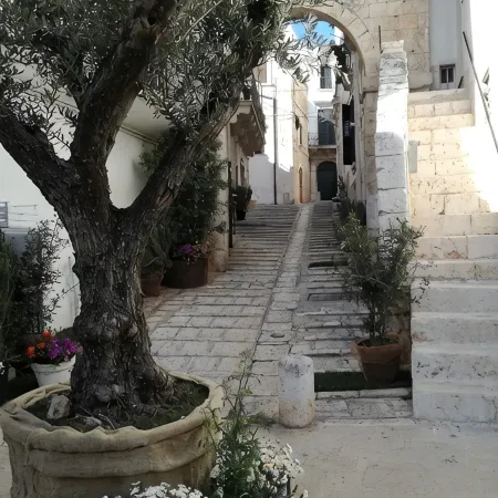 Pretty two-room apartment a few kilometers from Polignano
