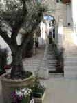 Pretty two-room apartment a few kilometers from Polignano - 3-Star