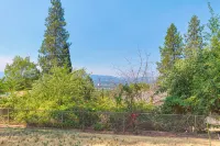 Woodsy, Quiet Neighborhood, 2 bedroom - Kitchens