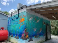 Rustic newly remodeled River House on working fish house property . Gulf access Hotels in Inglis