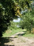 Ferme des Millonets - large gîte - บังกะโล
