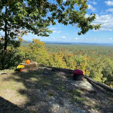 Big  Medicine  Ranch - Rustic Sunrise Cabin - Catskills