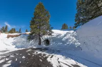 Ascend Remodeled Condo, SummerFun, Bear&Alpine Lake, Across Musical Festival
