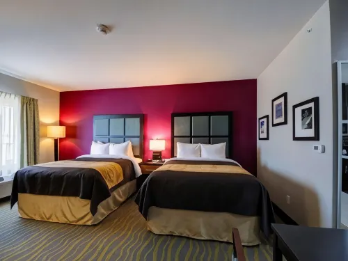Comfort Inn & Suites Tulsa I-44 West - Rt 66 - Kæledyr tilladt