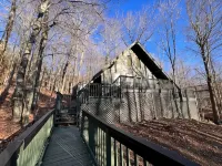 4 min Beech Mtn. Gem: Cabin Retreat near Slopes & Trails Pet friendly