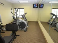 Spark by Hilton Hammond - Gym