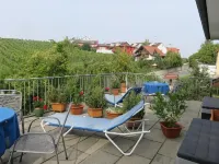 Pension Säntisblick - Parkplatz
