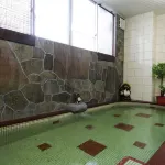 Ryokan Ginrinso Kotobuki - น้ำพุร้อน