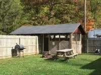 Ugly Cabin, Stunning Escape – Hot Tub! Fire Pit! Fast Wifi! Sunroom! Hiking! - Chalets