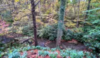 Stream-Front Serenity: Relax with the family at this peaceful place to stay! - Chalets