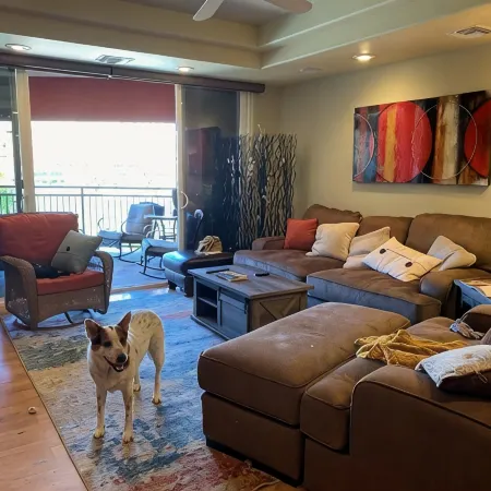 Your Riverfront Relaxing Vacation Home