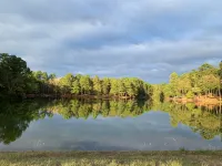 Our Happy Place is located in the gated community of Holly Lake Ranch. - 3-Star