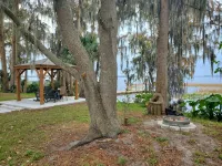 Lakefront Magic Wilderness Cabin