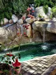 Laguna Beach Sanctuary - Villas