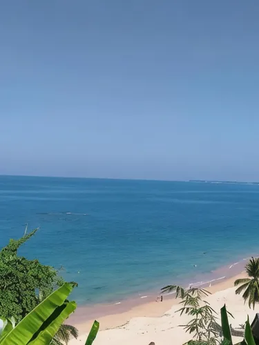 รูปภาพของเขาหลัก ซีเนียร์ บังกาโล​ C-Nior Bungalows