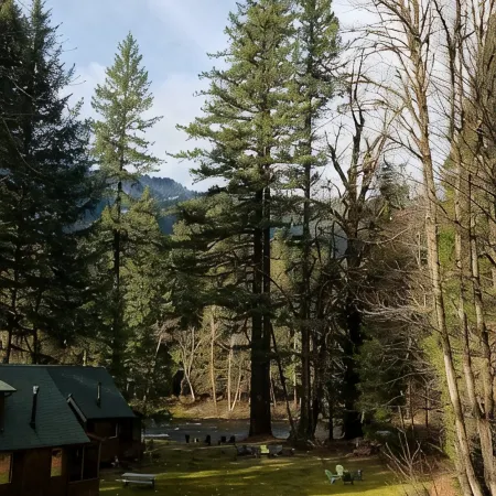 Mckenzie River Cabin #13 at the Log Cabin Inn, screened porch, .5mi Trailhead