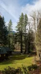 Mckenzie River Cabin #13 at the Log Cabin Inn, screened porch, .5mi Trailhead - シャレー