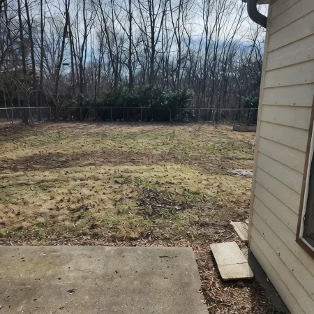 Beautiful creekside home near UIUC