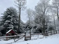 The Lehigh Cabin - Riverfront Escape- 1 mile private river - Chalets