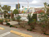 Beach Inn - Motels