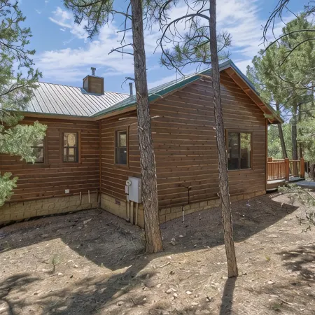 Bison Ridge 4 BR, 4BA Cabin with National Forest access and views!
