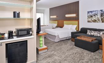 SpringHill Suites Ashburn Dulles North