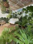 Villa Sambisari - Boutique