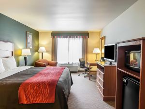 Comfort Inn & Suites Salem