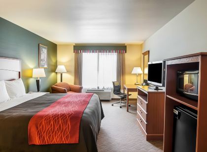 Comfort Inn & Suites Salem