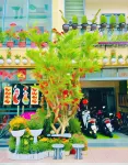 Duy Canh Homestay Hotels in Con Dao Island
