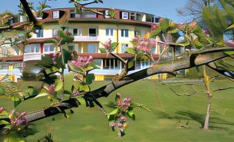 Hotel am Haslinger Hof - Housity