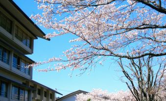 Iizaka Onsen Azumaso