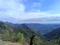 Brijwasi homestay