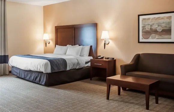 舒適酒店及套房-漢堡-南布法羅