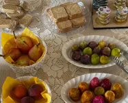 Chill Garden Experience B&B