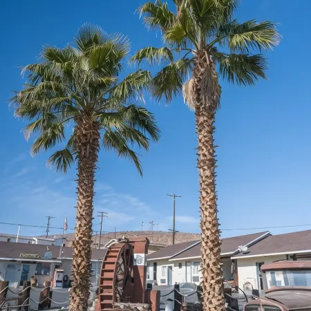 Route 66 Motel
