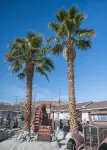 Route 66 Motel Hotels in Barstow