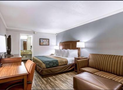 溫德姆旗下Travelodge-坎頓/利沃尼亞地區, 密歇根州