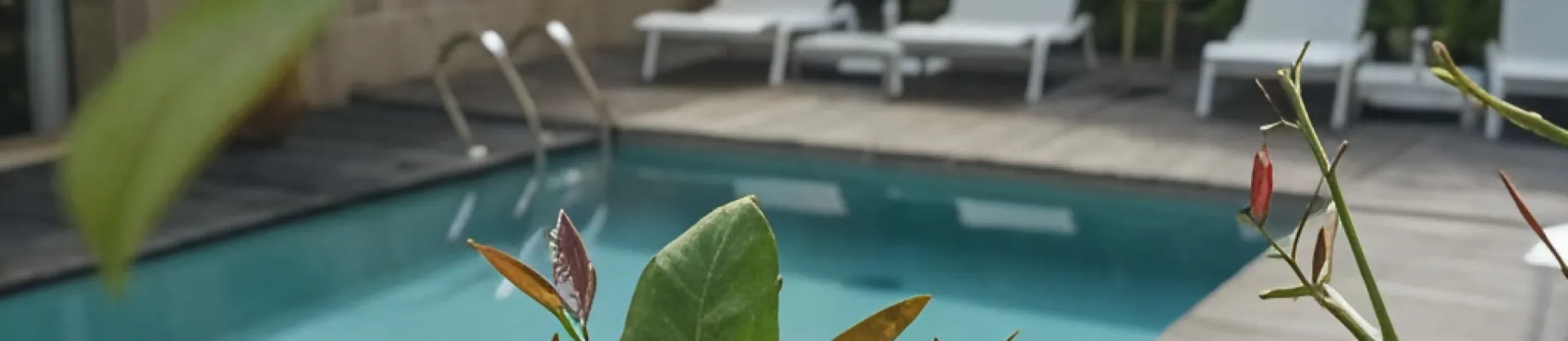 Luxury Hotels