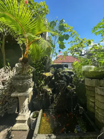 沙麗布亞納民宿