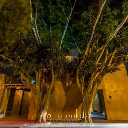 Casa Carmen Reforma
