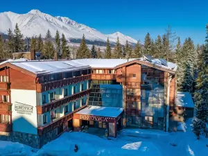 Aplend Wellness Hotel Borovica