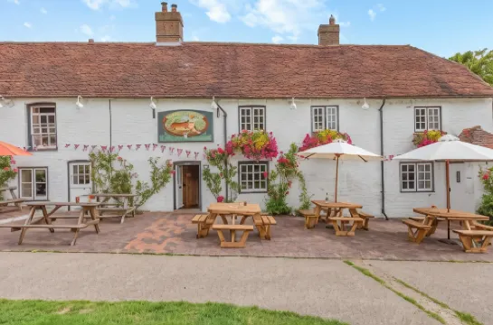 Tiger Inn - Catherine