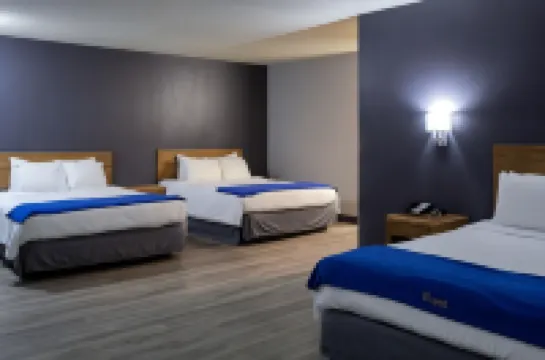 諾福克新維多利亞套房酒店 羅福酒店