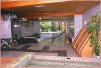 Kurhaus Ishibashi Ryokan - Hot Tub