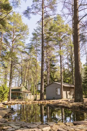 Hotel Yantarnyy Bereg