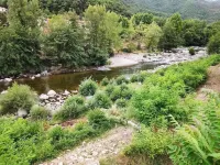 Beau F1 Entiérement Rénové Pour Vacances & Séjour